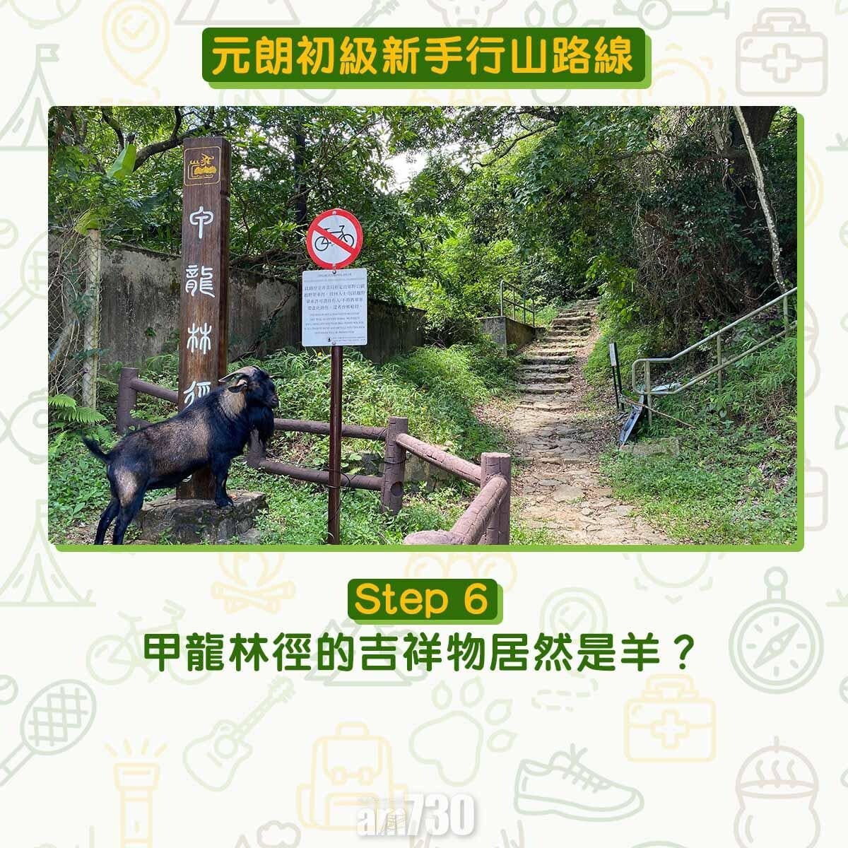 元朗初級行山路線