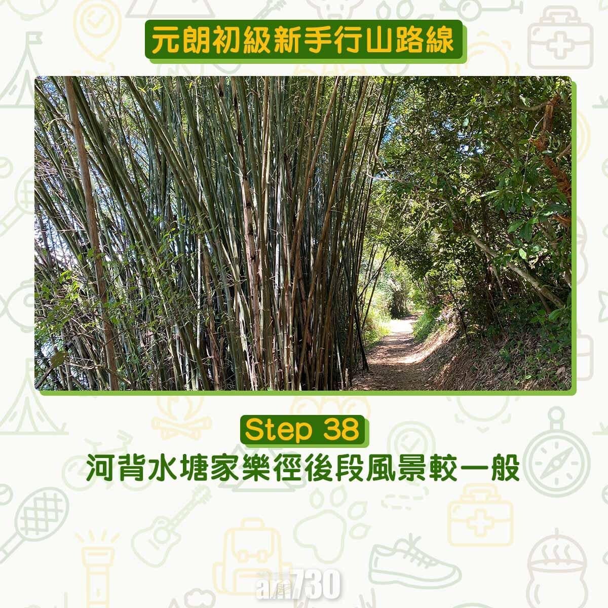 元朗初級行山路線