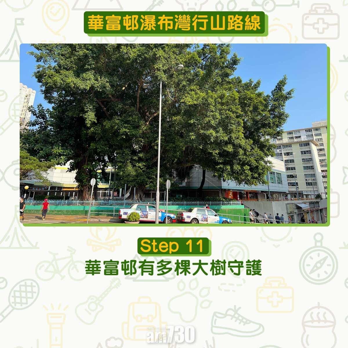 華富邨瀑布灣行山路線