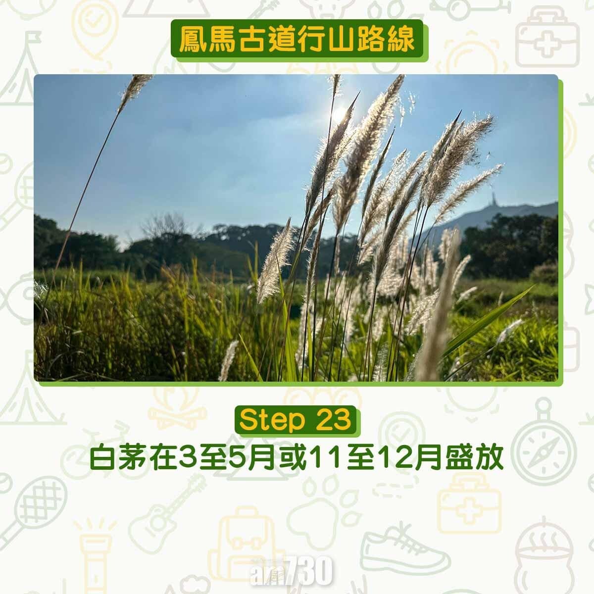 鳳馬古道