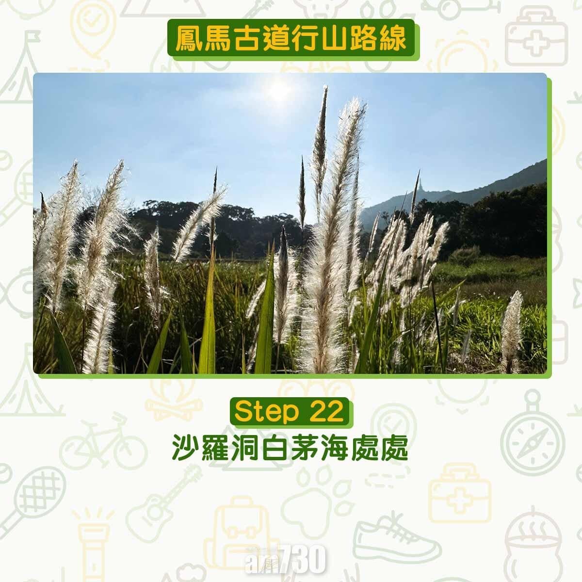 鳳馬古道