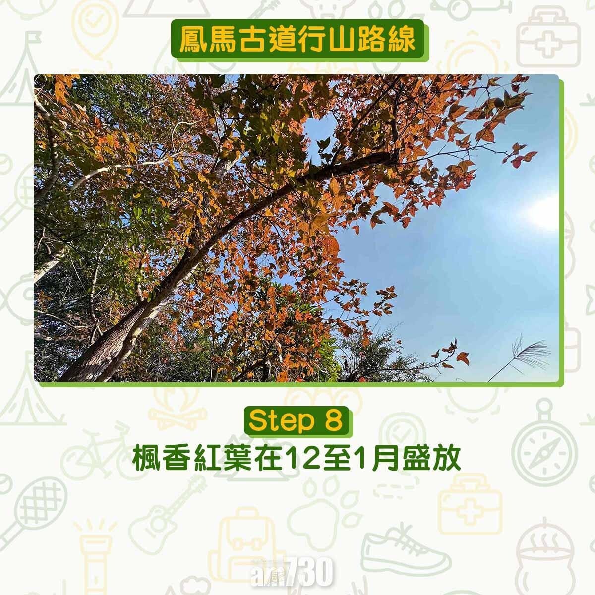 鳳馬古道