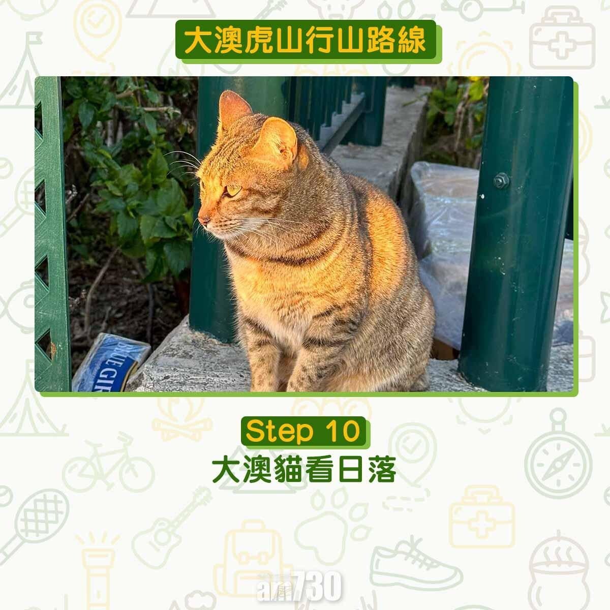 大澳虎山