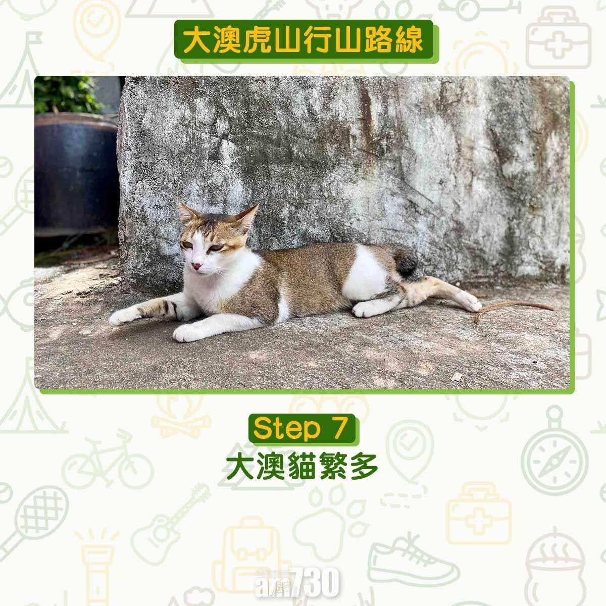 大澳虎山