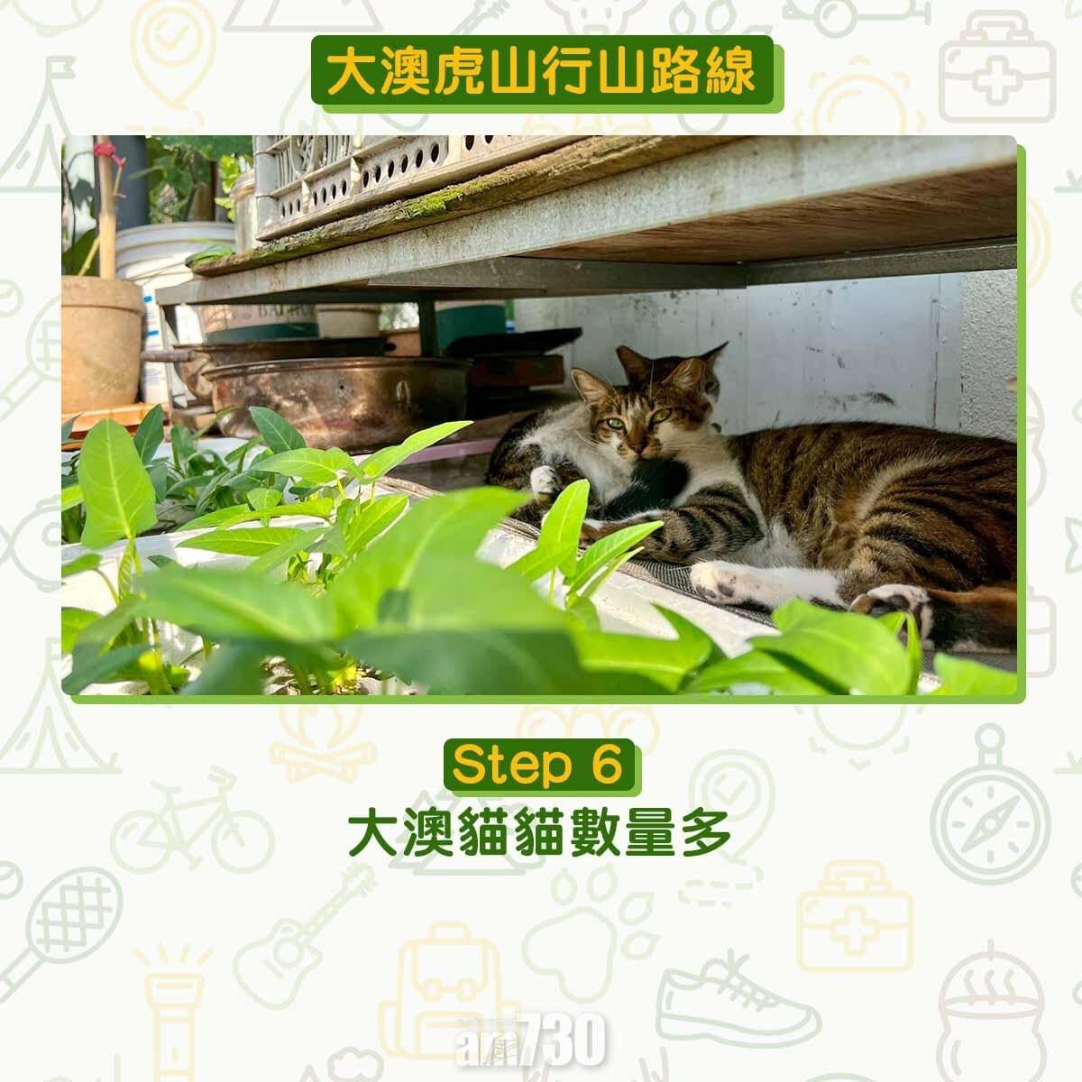 大澳虎山