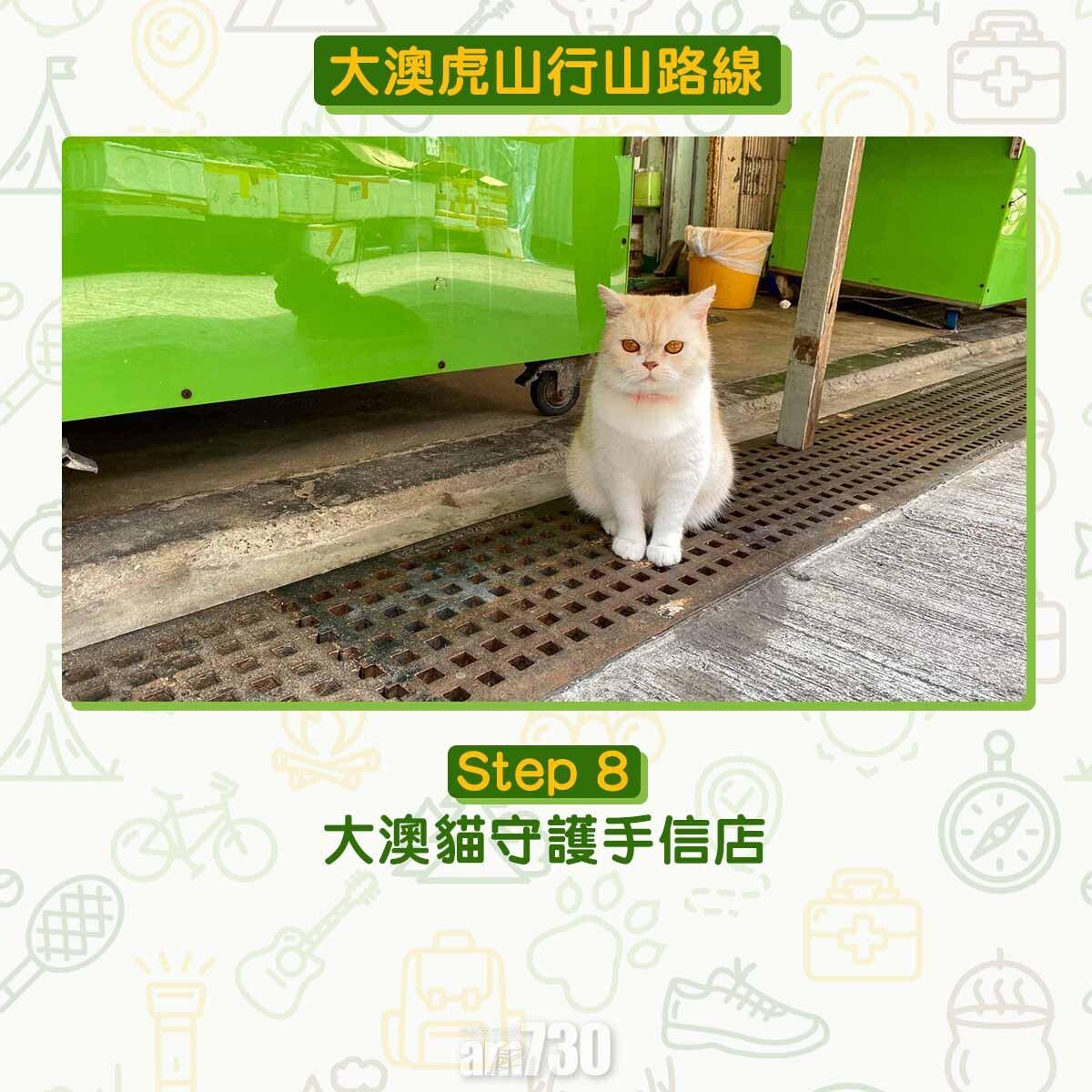 大澳虎山