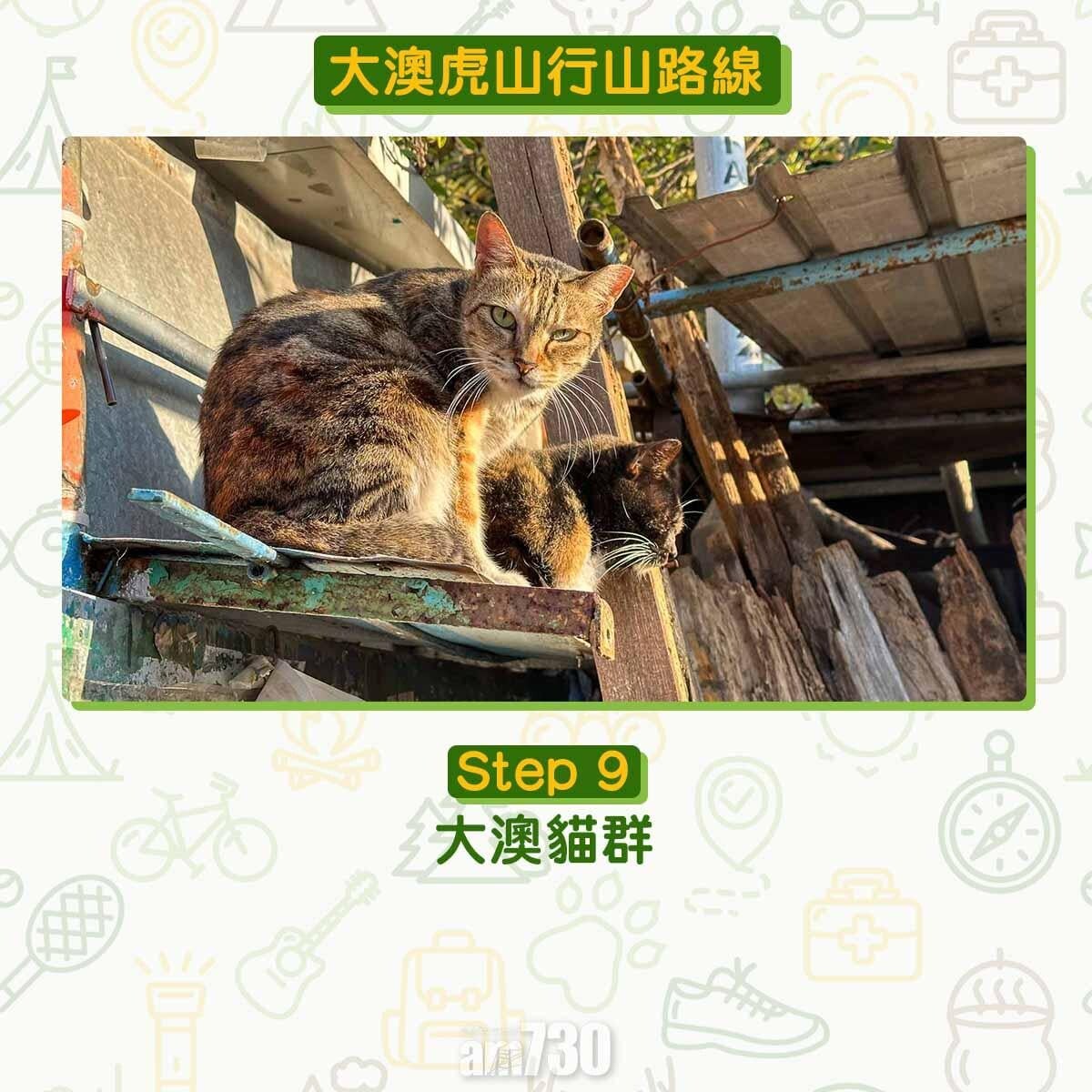 大澳虎山