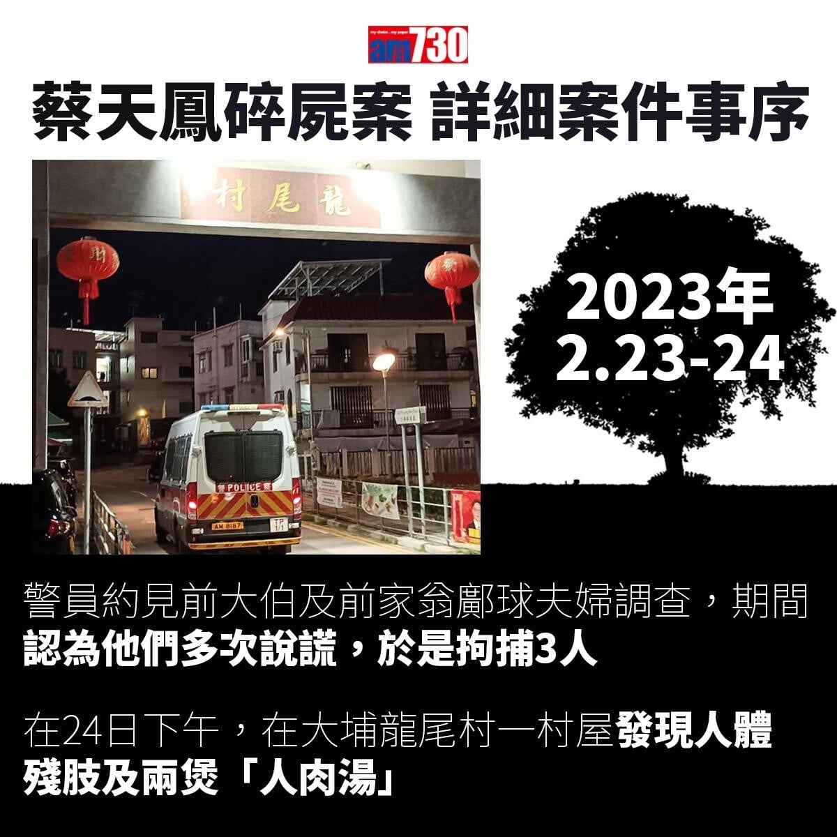 蔡天鳳碎屍案|一文睇清蔡天鳳遇害始末 案件時序一覽