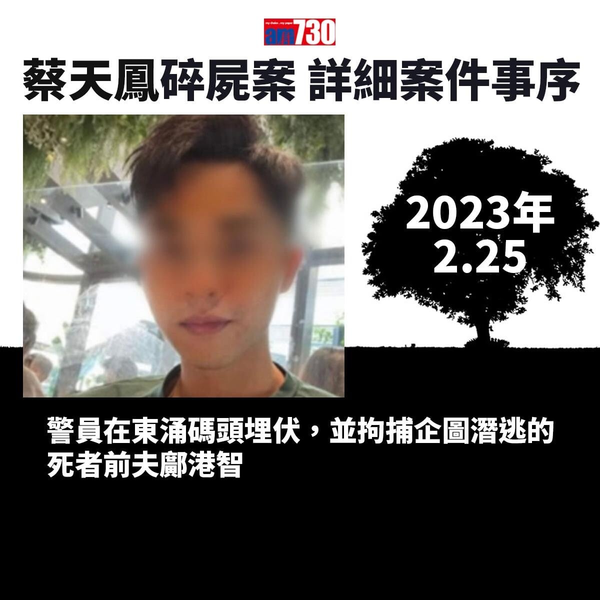 蔡天鳳碎屍案|一文睇清蔡天鳳遇害始末 案件時序一覽
