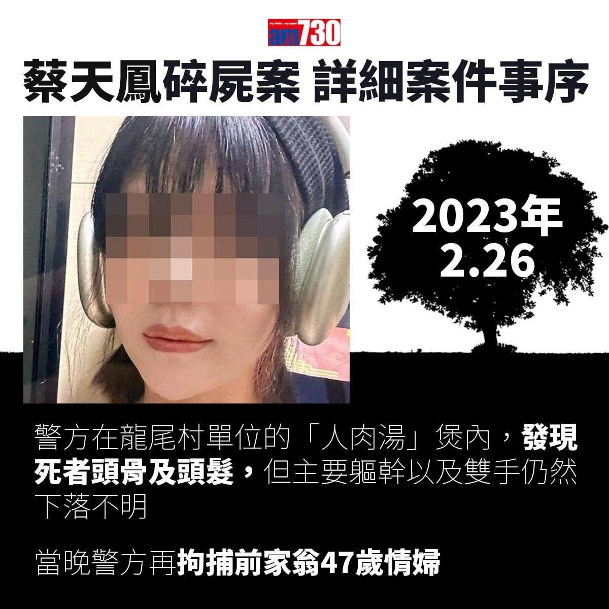 蔡天鳳碎屍案｜一文睇清蔡天鳳遇害始末　案件時序一覽