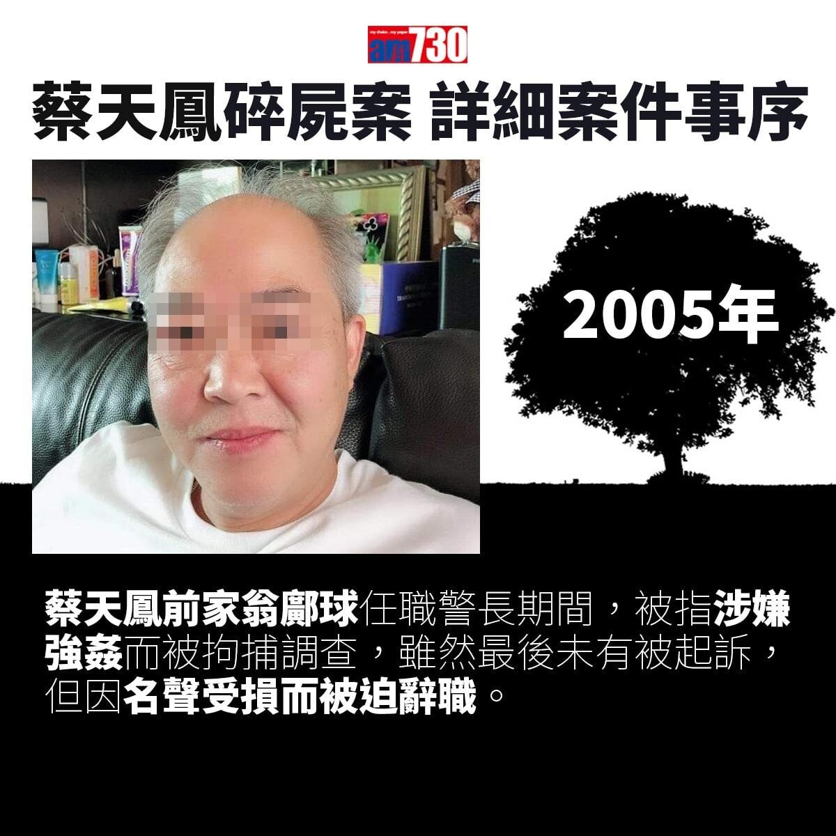 蔡天鳳碎屍案｜一文睇清蔡天鳳遇害始末　案件時序一覽