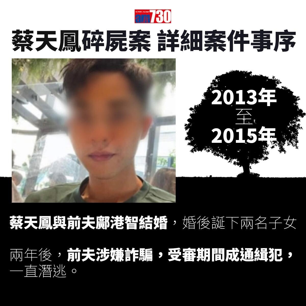 蔡天鳳碎屍案｜一文睇清蔡天鳳遇害始末　案件時序一覽