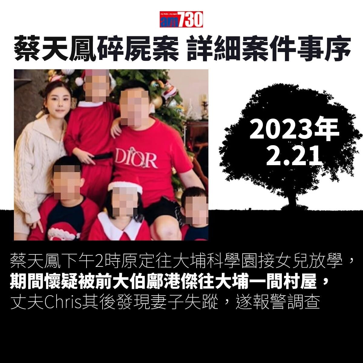 蔡天鳳碎屍案｜一文睇清蔡天鳳遇害始末　案件時序一覽