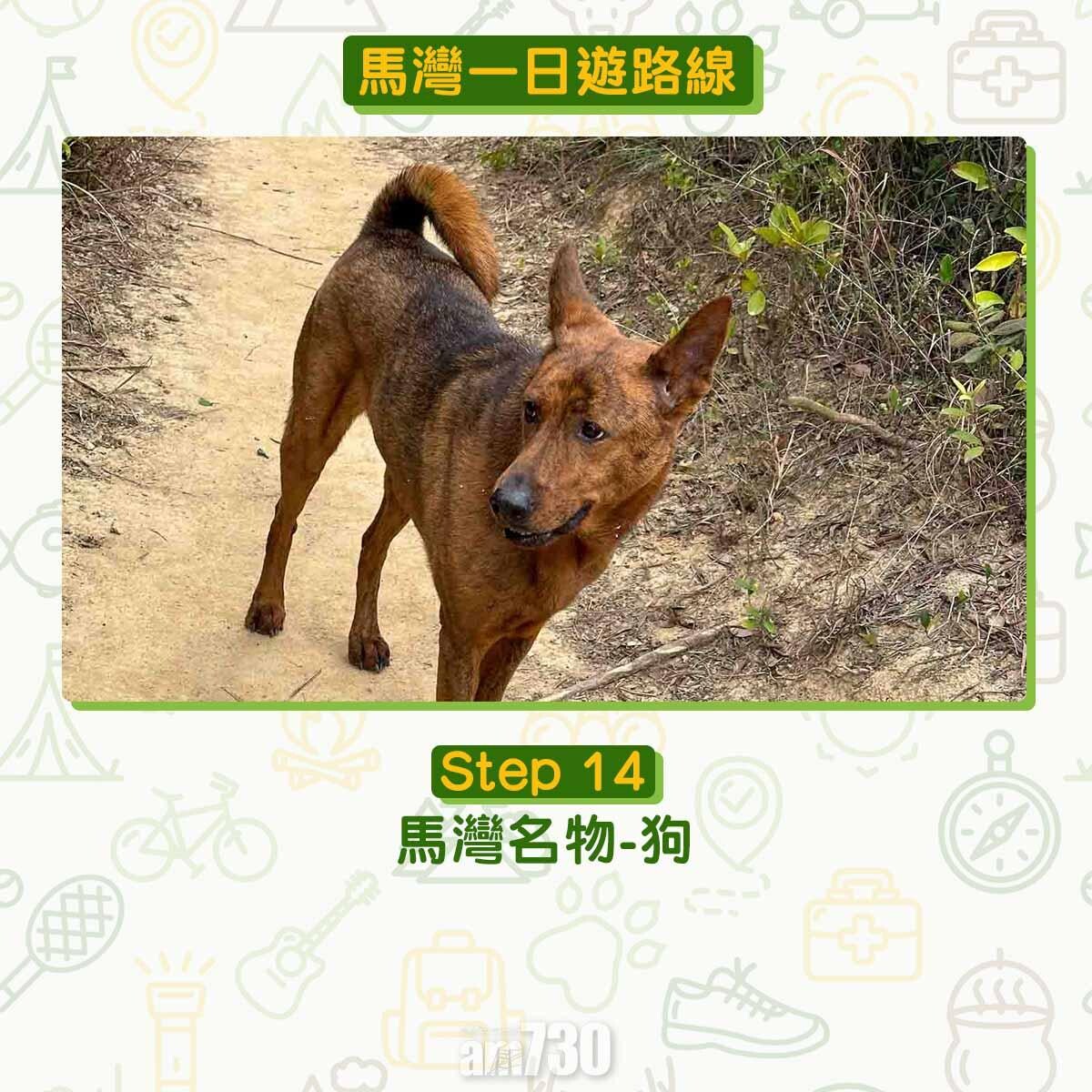 馬灣一日遊︱拍拖親子五大景點 青馬大橋到最高點