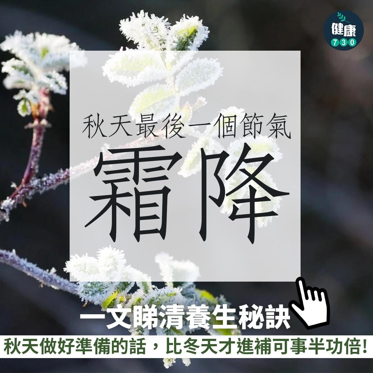 廿四節氣|霜降意思、習俗及食物(am730製圖)