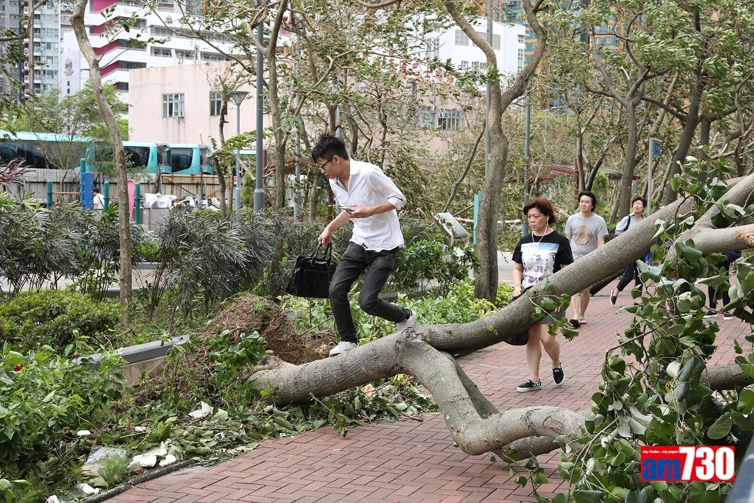 山竹颱風對香港破壞嚴重。(資料圖片)