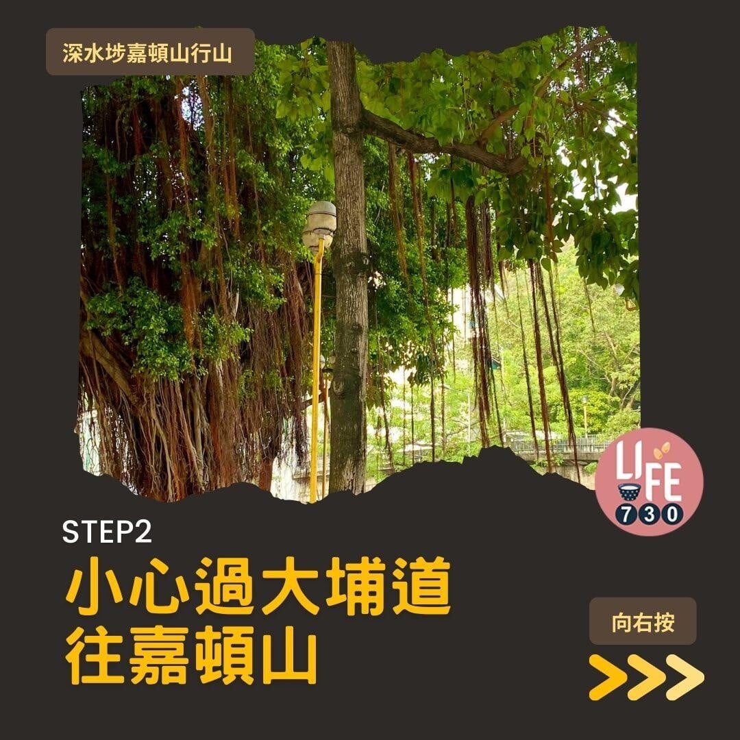 深水埗嘉頓山是市區行山短程路線(am730製圖)