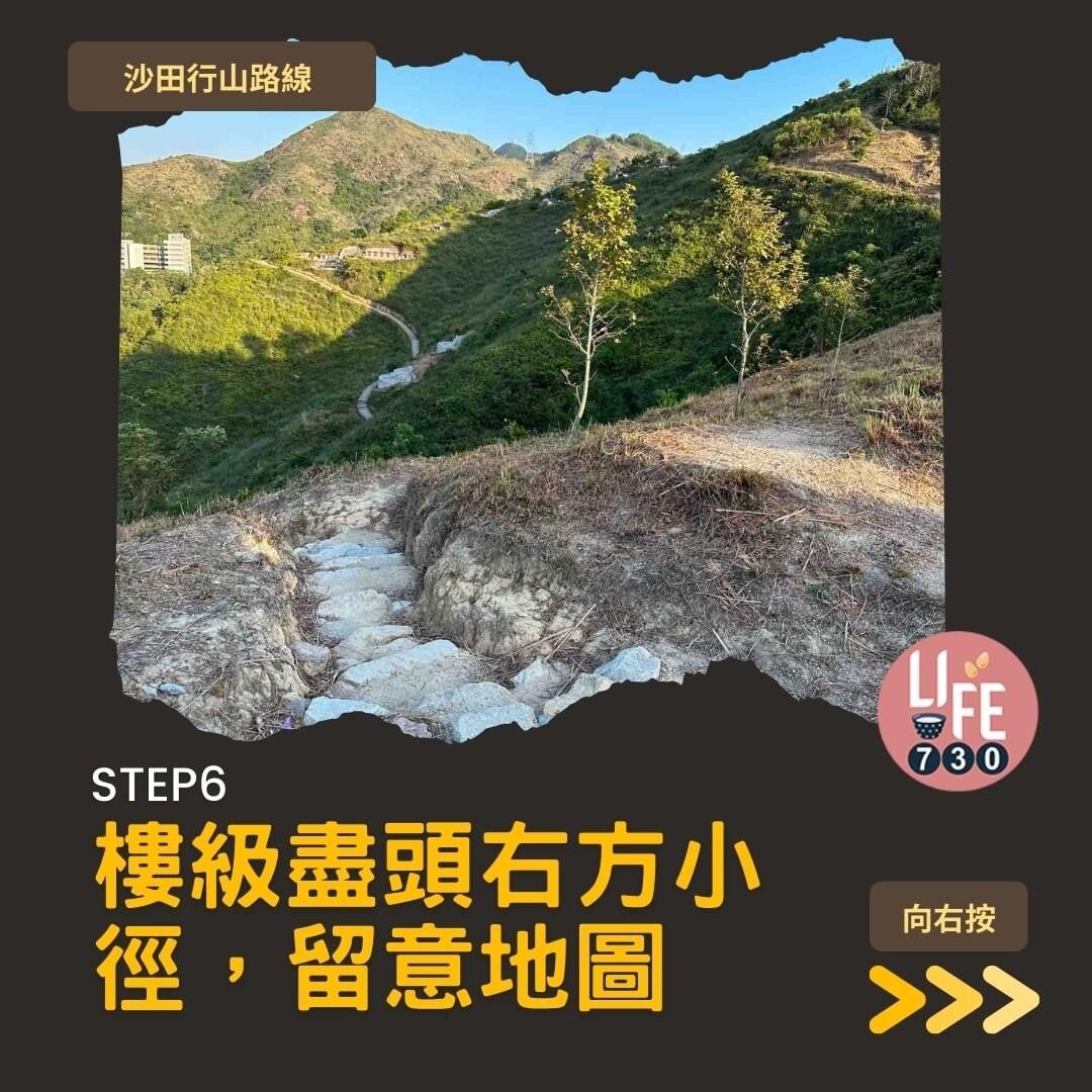 沙田行山|蝌蚪坪輕鬆登頂 周末拍拖親子樂好去處(am730製圖)