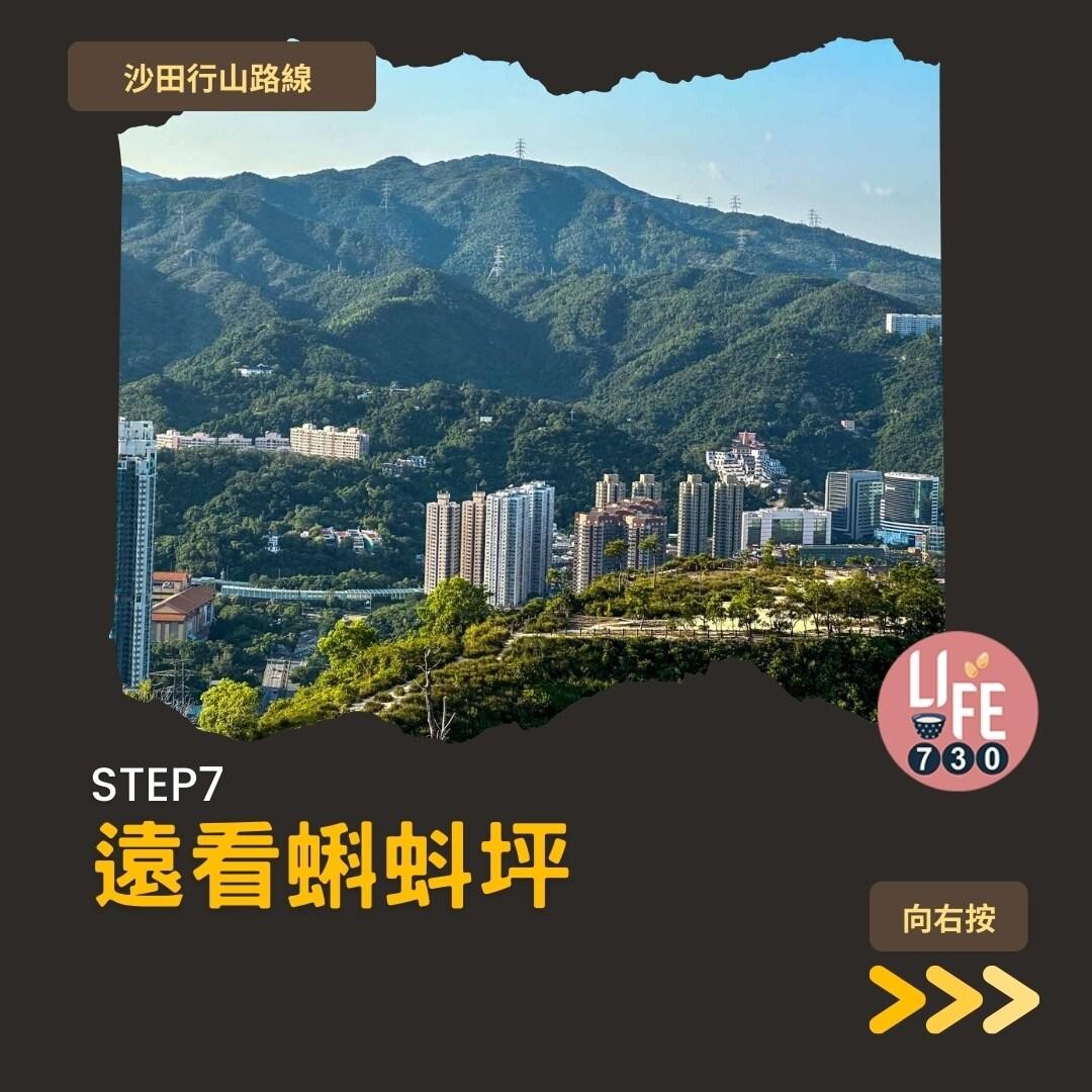 沙田行山|蝌蚪坪輕鬆登頂 周末拍拖親子樂好去處(am730製圖)