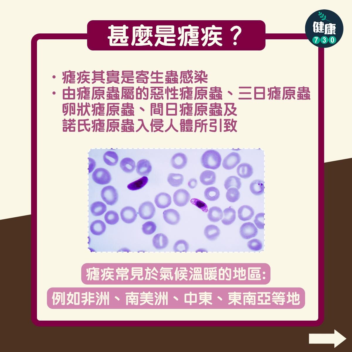 瘧疾症狀、傳染途徑、治療及預防方法，小心蚊叮蟲咬（am730製圖）