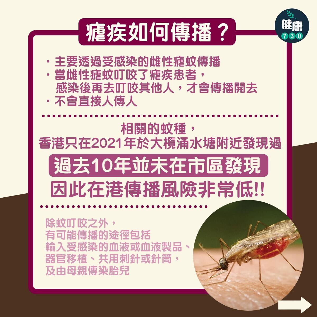 瘧疾症狀、傳染途徑、治療及預防方法，小心蚊叮蟲咬（am730製圖）