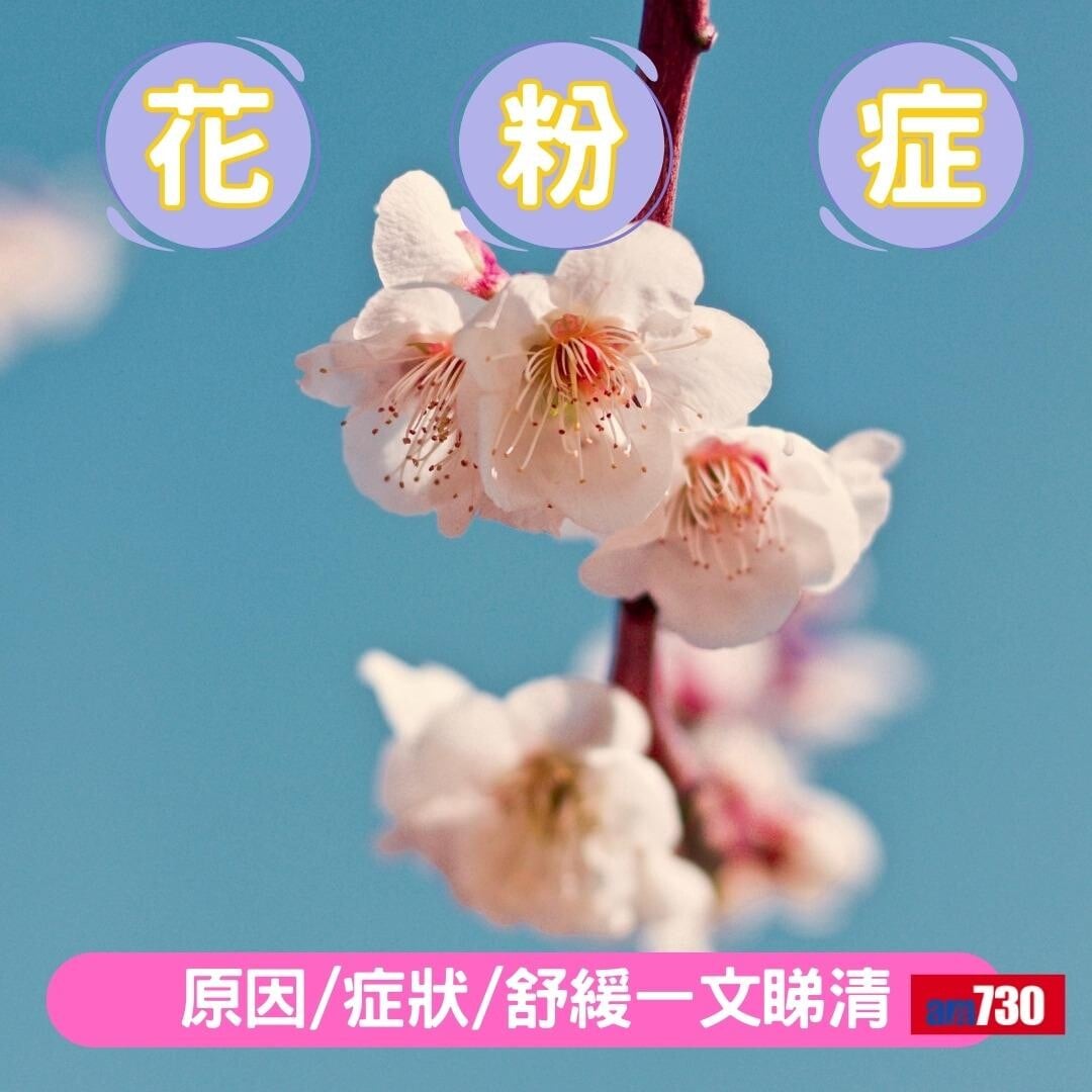 花粉症原因、症狀及舒緩方法(am730製圖)