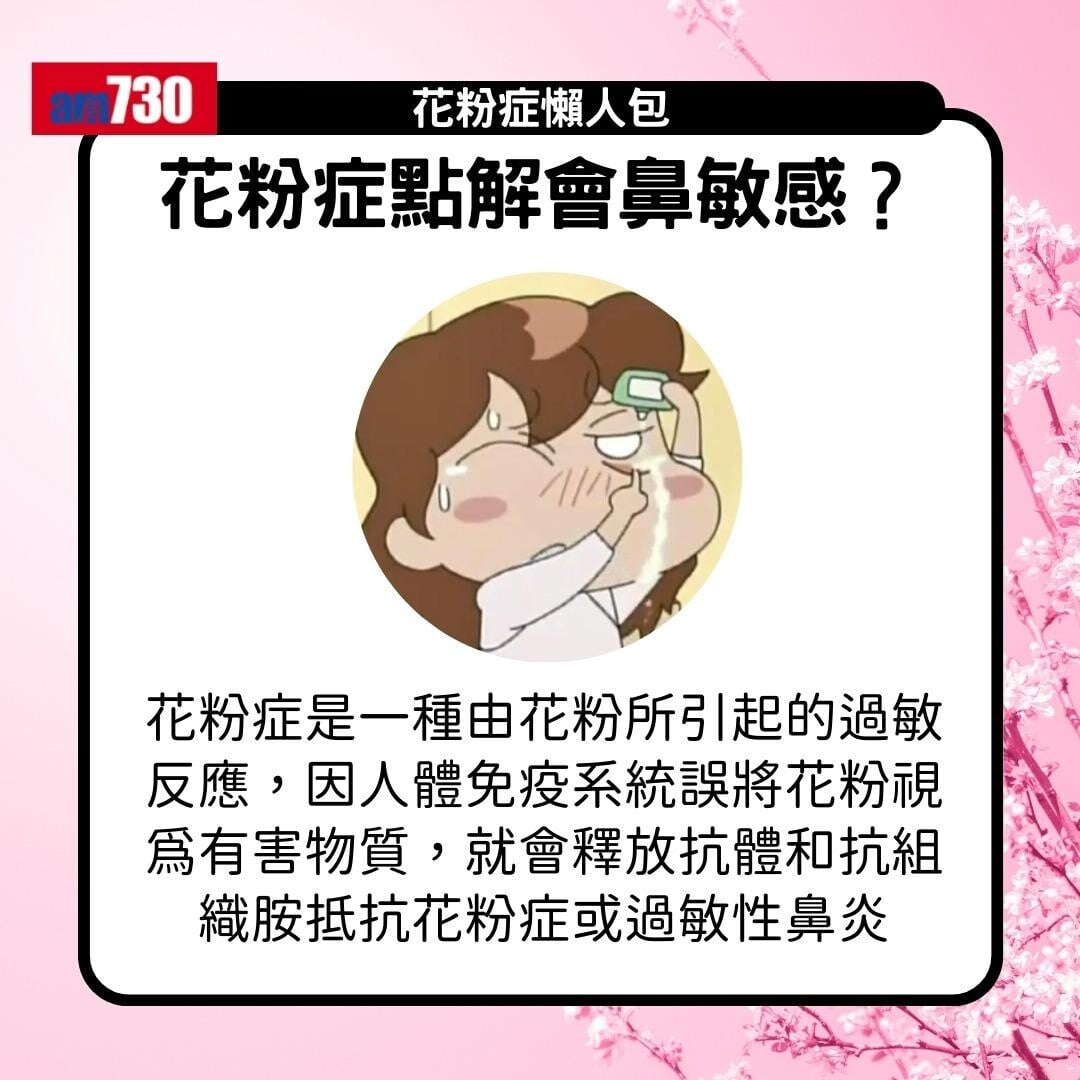 花粉症原因、症狀及舒緩方法(am730製圖)