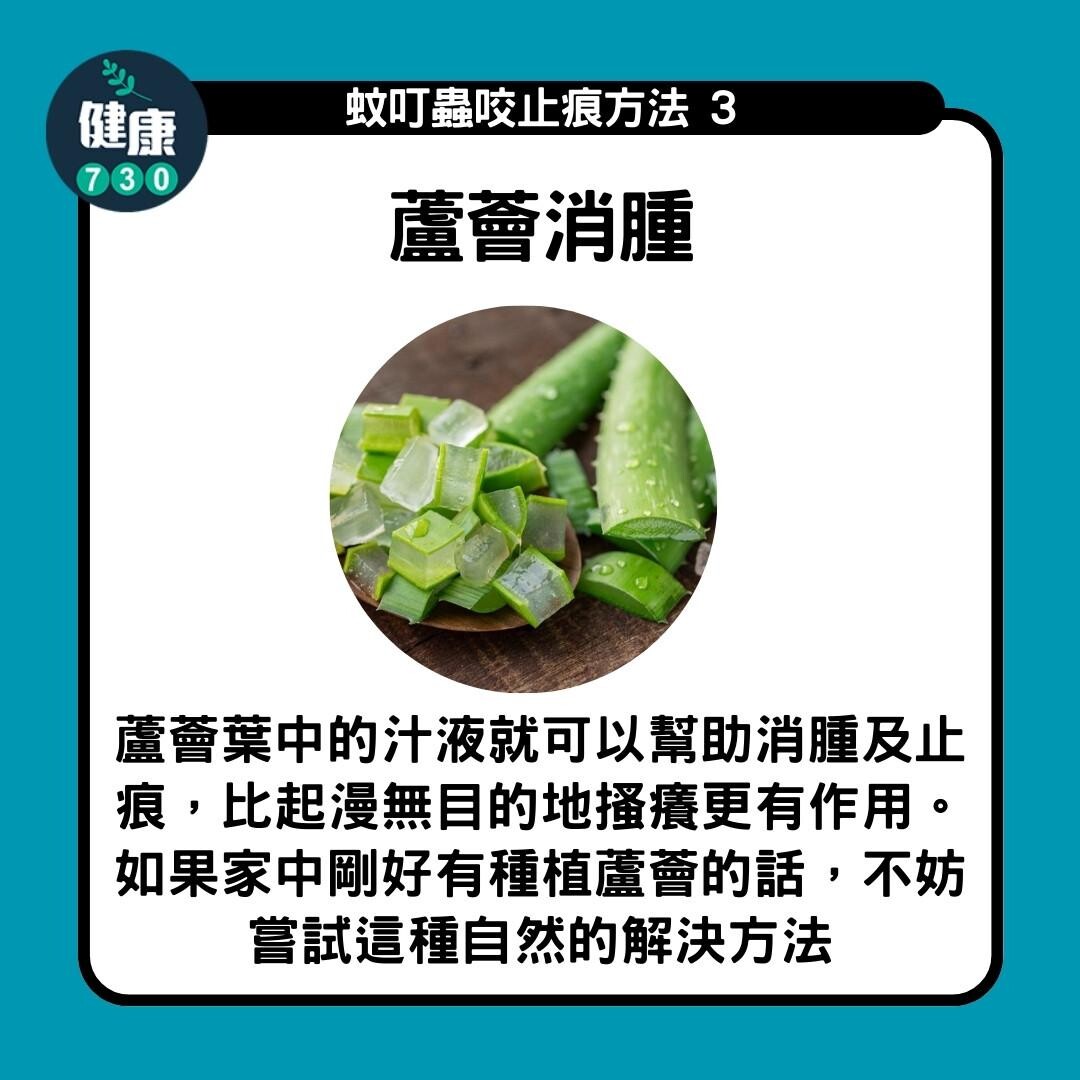 防蚊方法|蘆薈消腫(am730製圖)