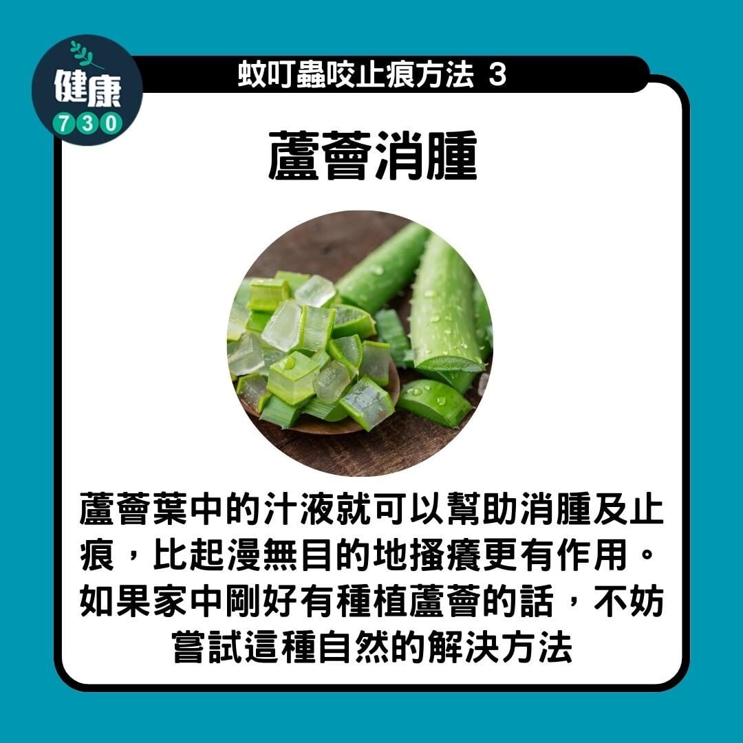 防蚊方法|蘆薈消腫(am730製圖)