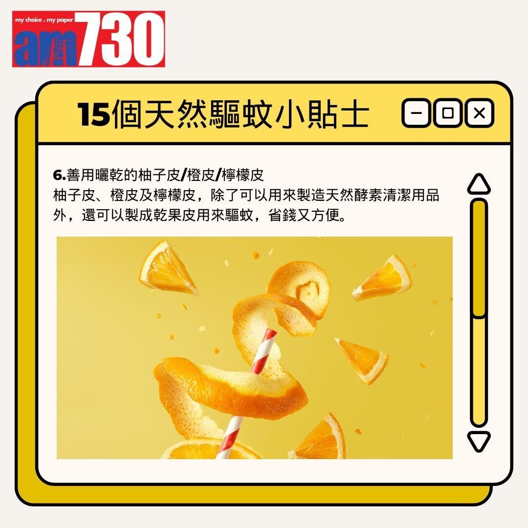 15個天然驅蚊小貼士丨善用曬乾的柚子皮/橙皮/檸檬皮