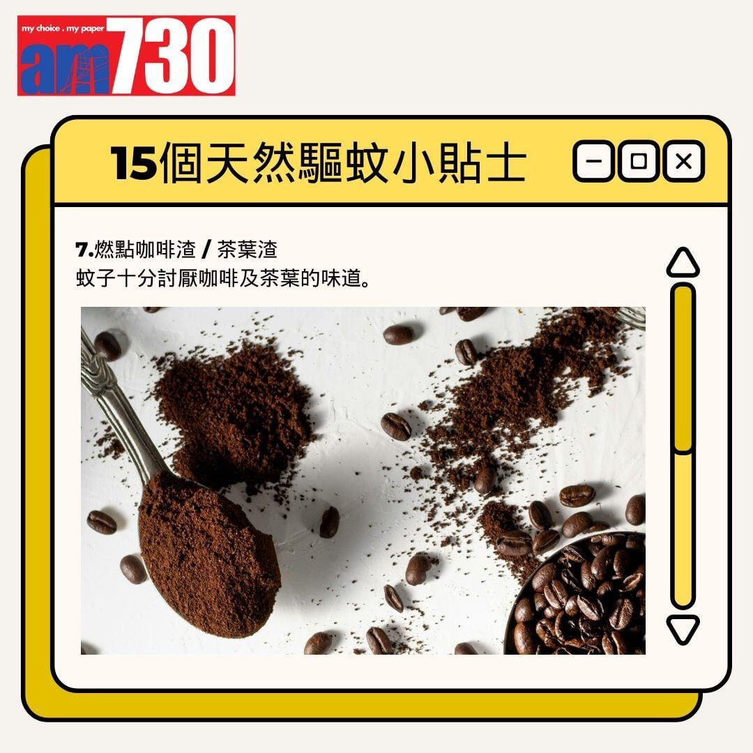 15個天然驅蚊小貼士丨燃點咖啡渣 / 茶葉渣