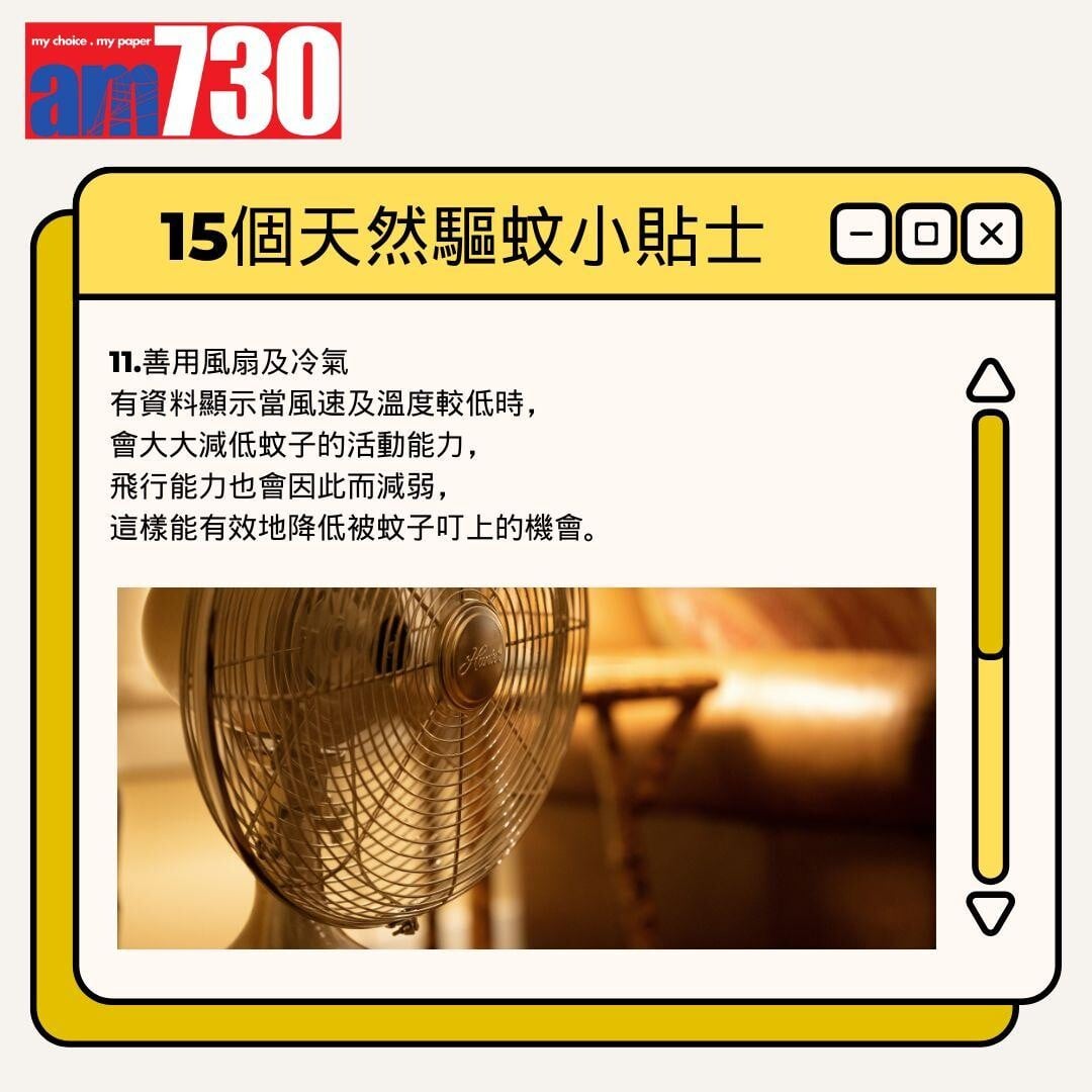 15個天然驅蚊小貼士丨善用風扇及冷氣