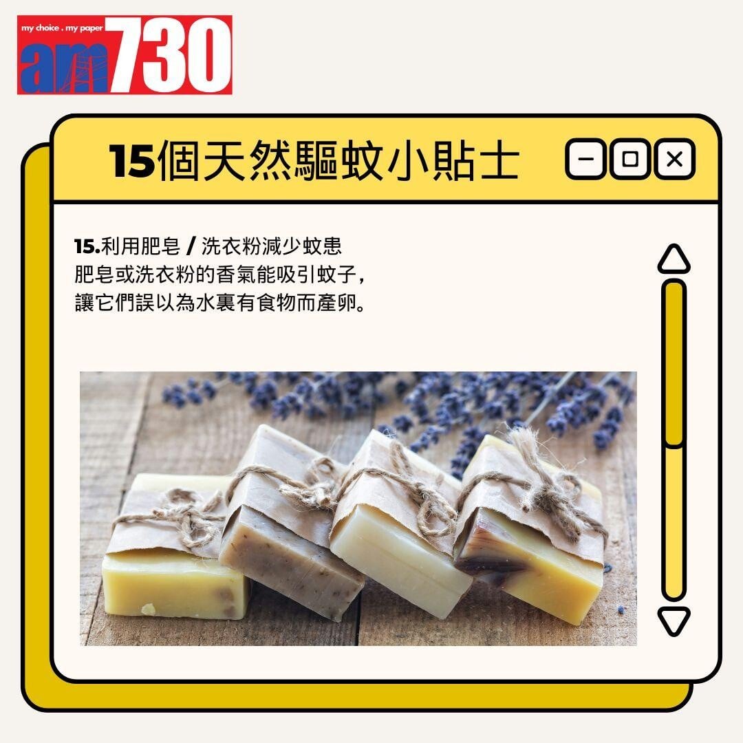 15個天然驅蚊小貼士丨利用肥皂 / 洗衣粉減少蚊患