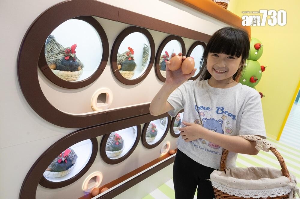 Honey ’s Farm 趣味農場 (全新!)