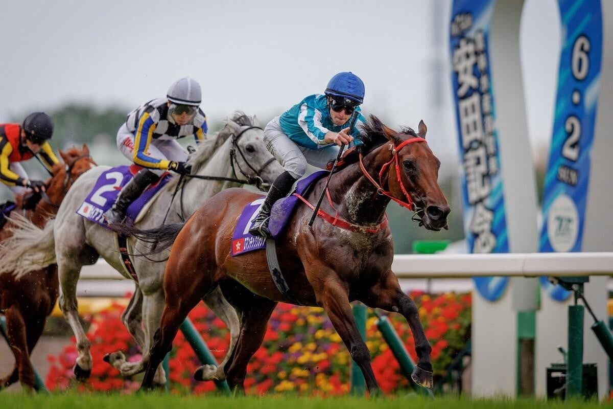 香港賽馬會宣布,馬王「浪漫勇士」因傷退役。(資料圖片/馬會圖片)