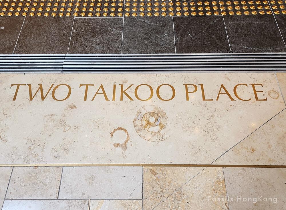 連接太古坊各大樓的弧形天橋雲石地板上藏着一枚菊石化石。（圖片來源：「Fossils HongKong」facebook專頁）