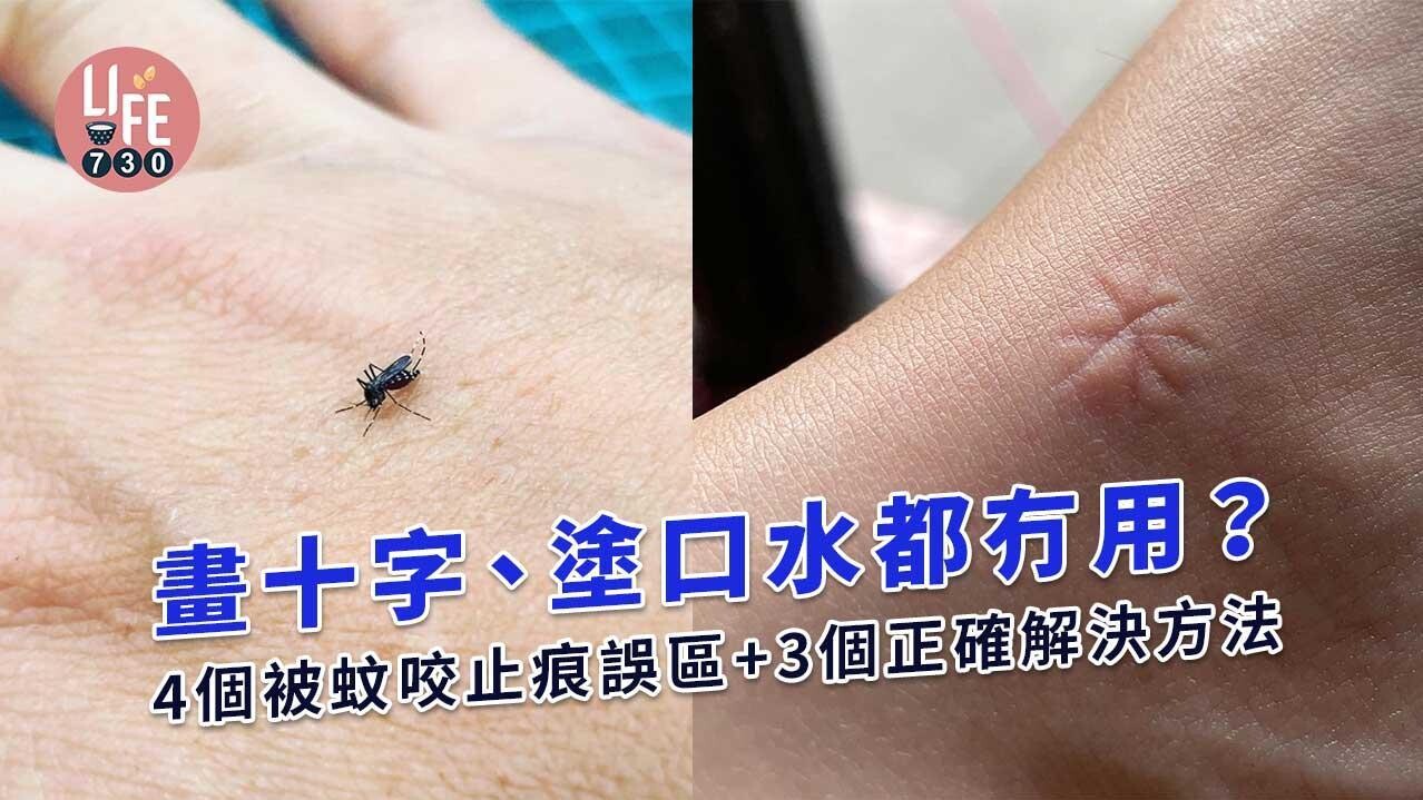蚊咬止癢方法｜畫十字、塗口水冇用! 推薦番梘水/蘆薈（am730製圖）