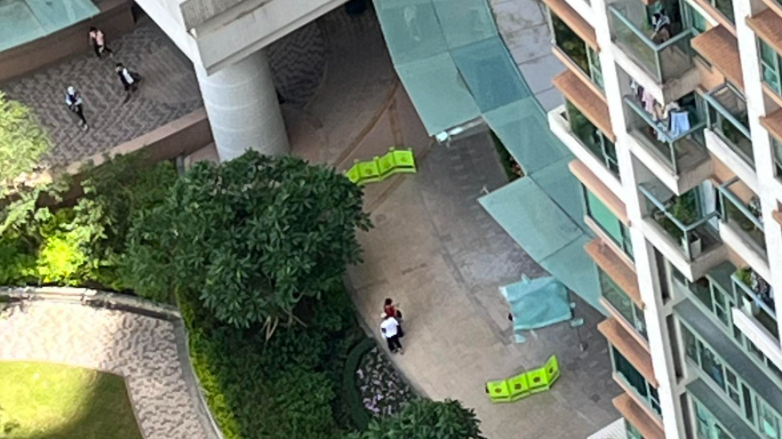 將軍澳調景嶺維景灣畔14歲少年墮樓亡。(維景天地fb)