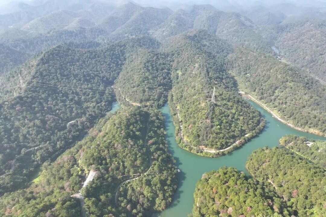 位於佛山高明區明城鎮的泰康山山脈,自然資源豐富,更充滿嶺南山水的靈氣,其中,中部和北部以山林、丘陵為主,細看可見到一潭綠水自東向北穿山而過,這便是有「高明小漓江」之稱的潭黎水庫。(圖片來源:明城發布)