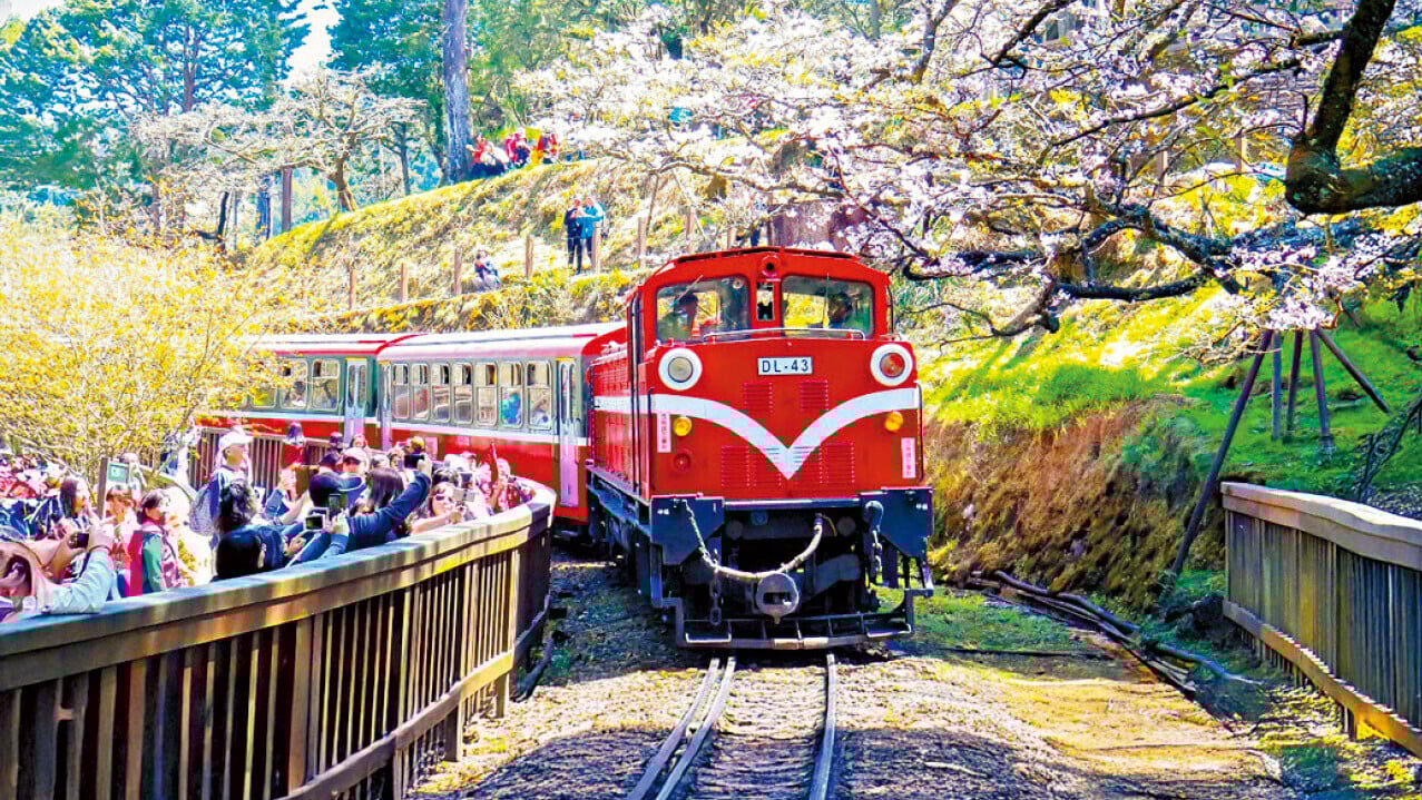 台灣環島賞櫻之旅