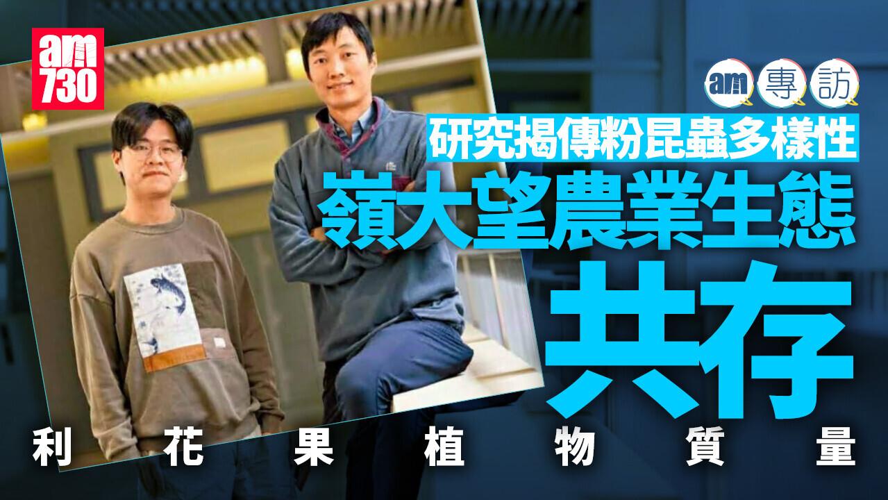 am專訪｜研究揭傳粉昆蟲多樣性 嶺大望農業生態共存 利花果植物質量