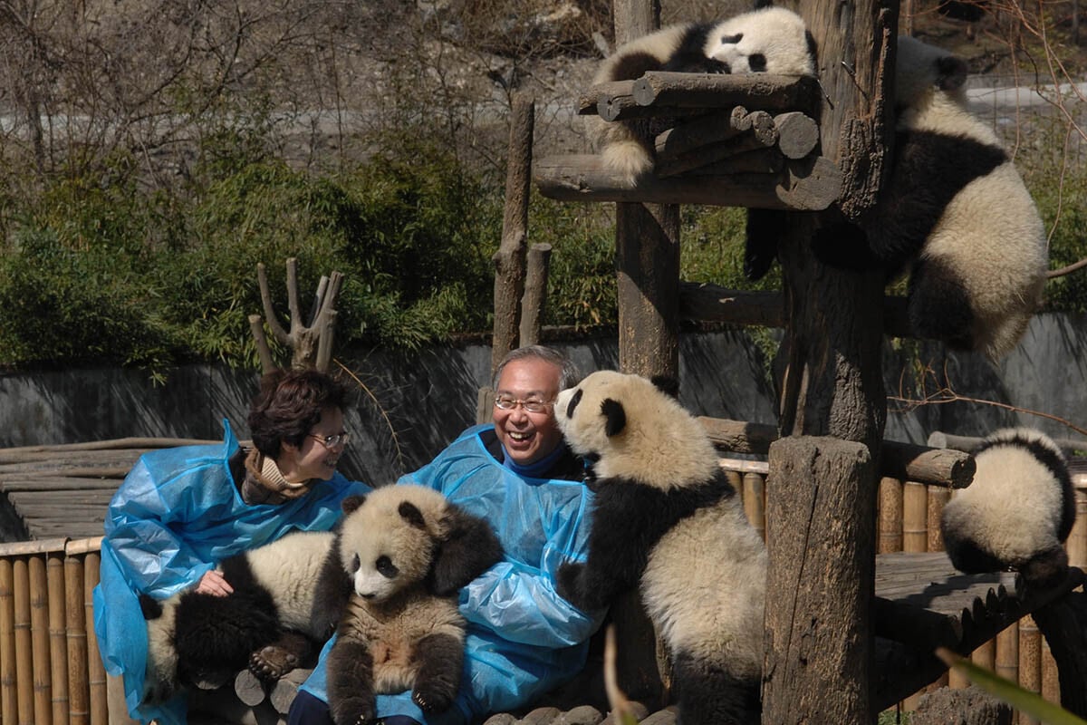 許仕仁伉儷與大熊貓合照。(資料圖片/政府新聞處)