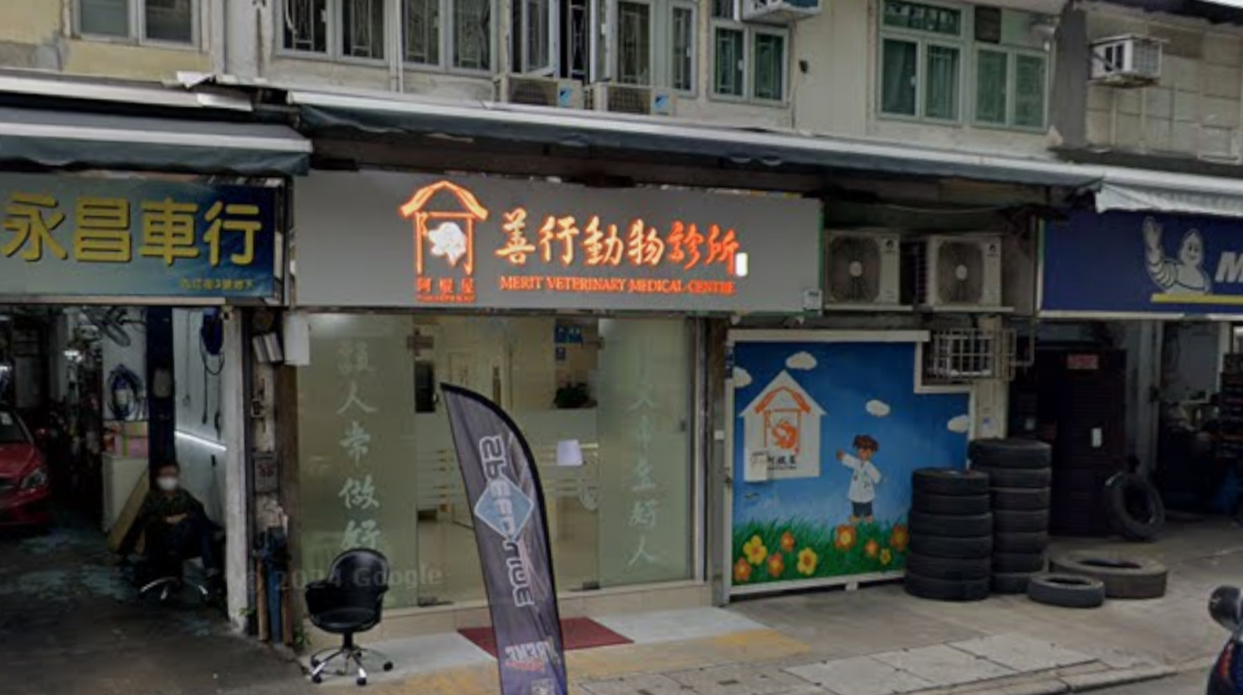 拉布拉多幼犬右後腳骨裂，狗主丈夫被捕。(Google街景截圖)