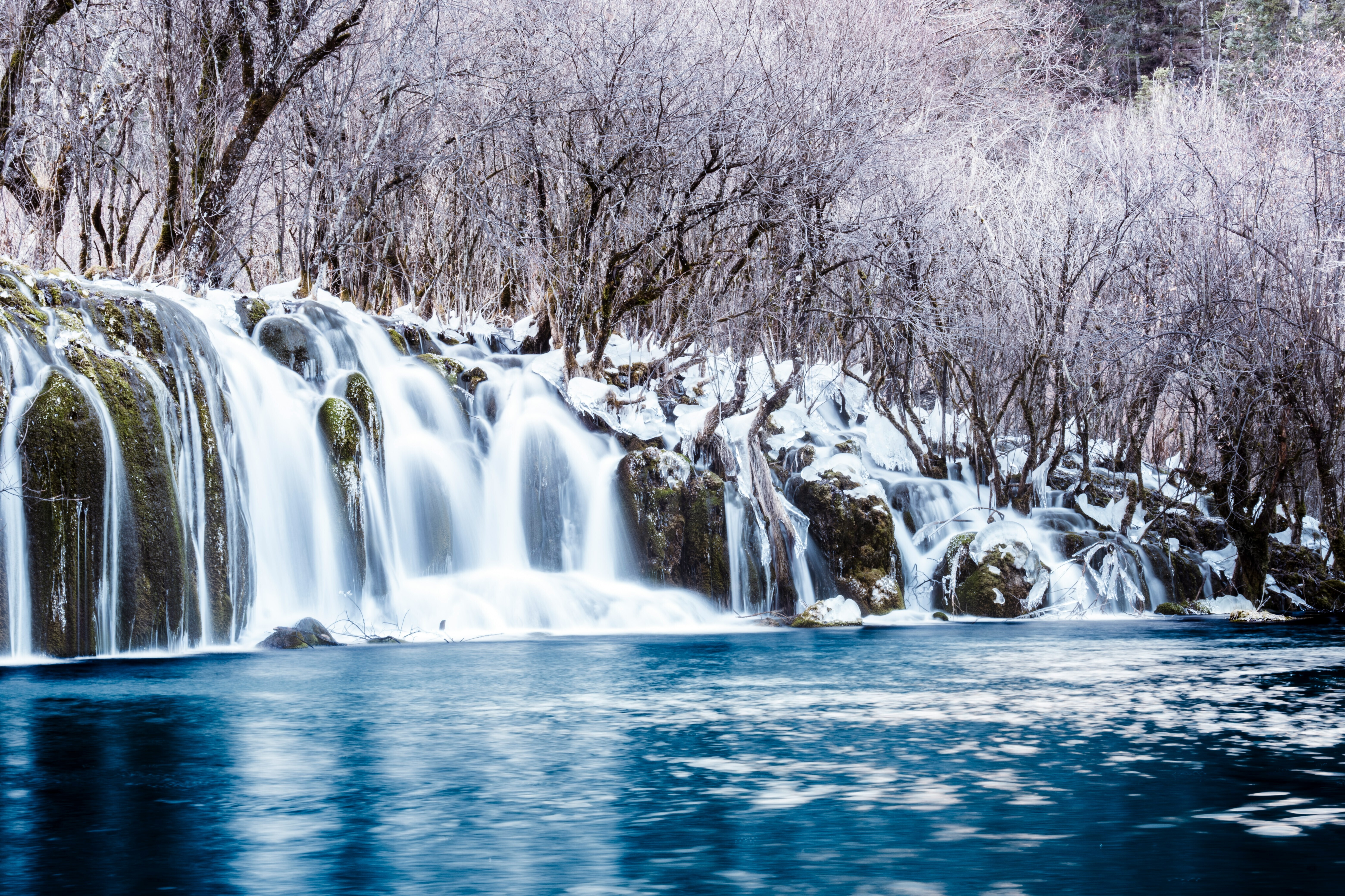 初雪的九寨溝,換上了閃亮的銀裝,湖泊隨着光線變化而泛着交錯的碧藍色和翠綠色、宛如走進了一個雪國森林一樣,神秘又夢幻。