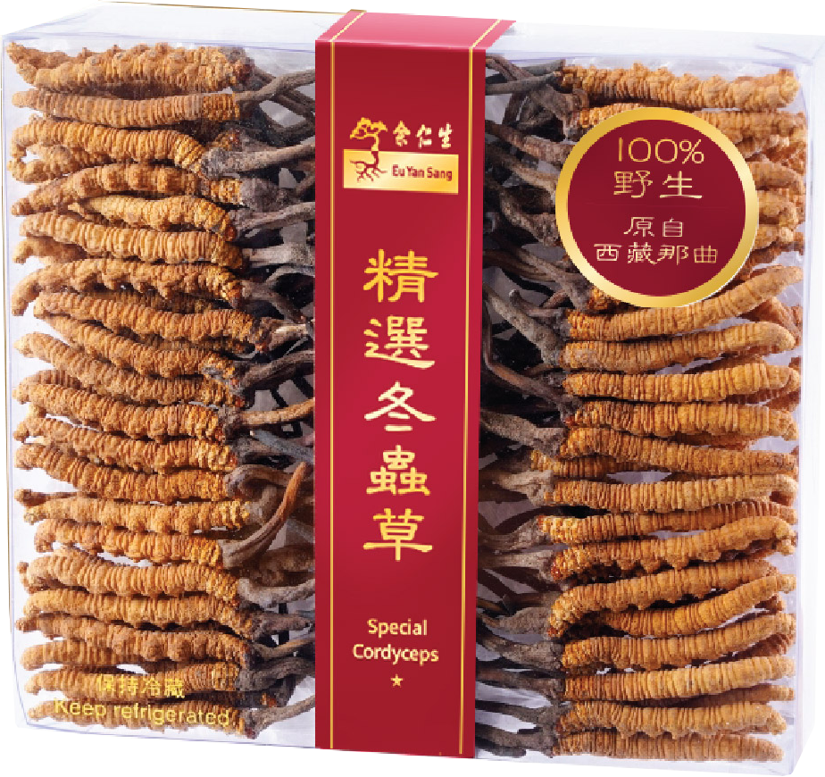 精選冬蟲草(半両裝)一口價$5,699