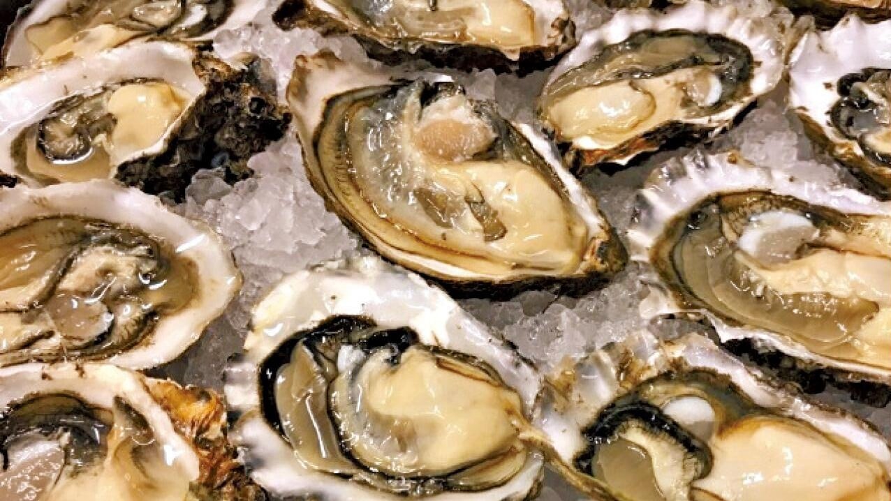 近日進食生蠔致食物中毒個案急增。