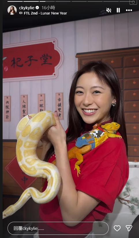 螢幕擷取畫面 2026 02 12 172456