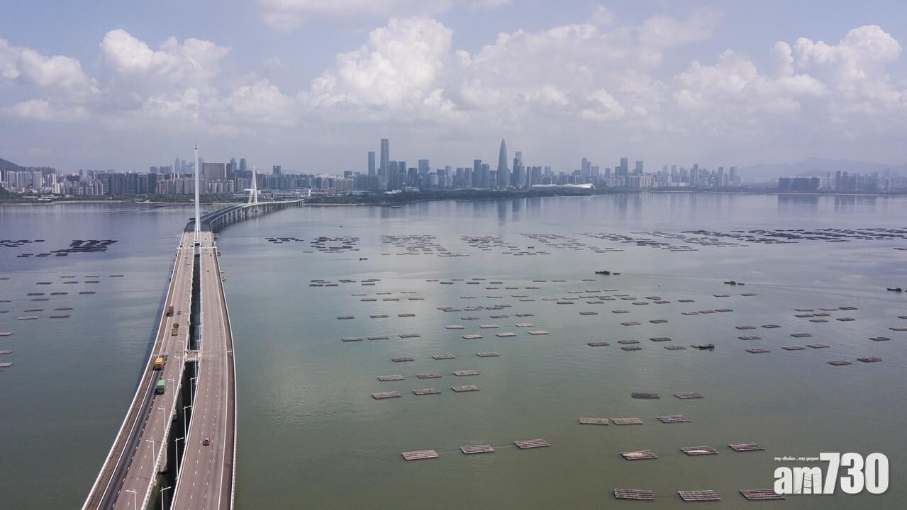深圳灣大橋