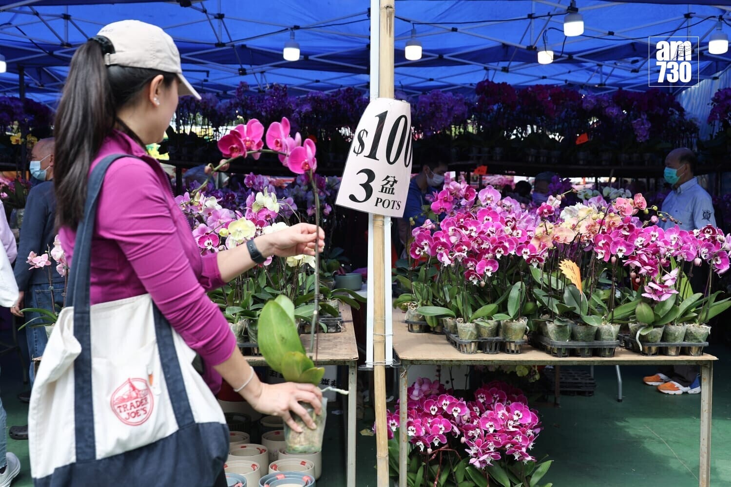 年宵花市人流暢旺 檔主:旺丁不旺財 (周令知攝)
