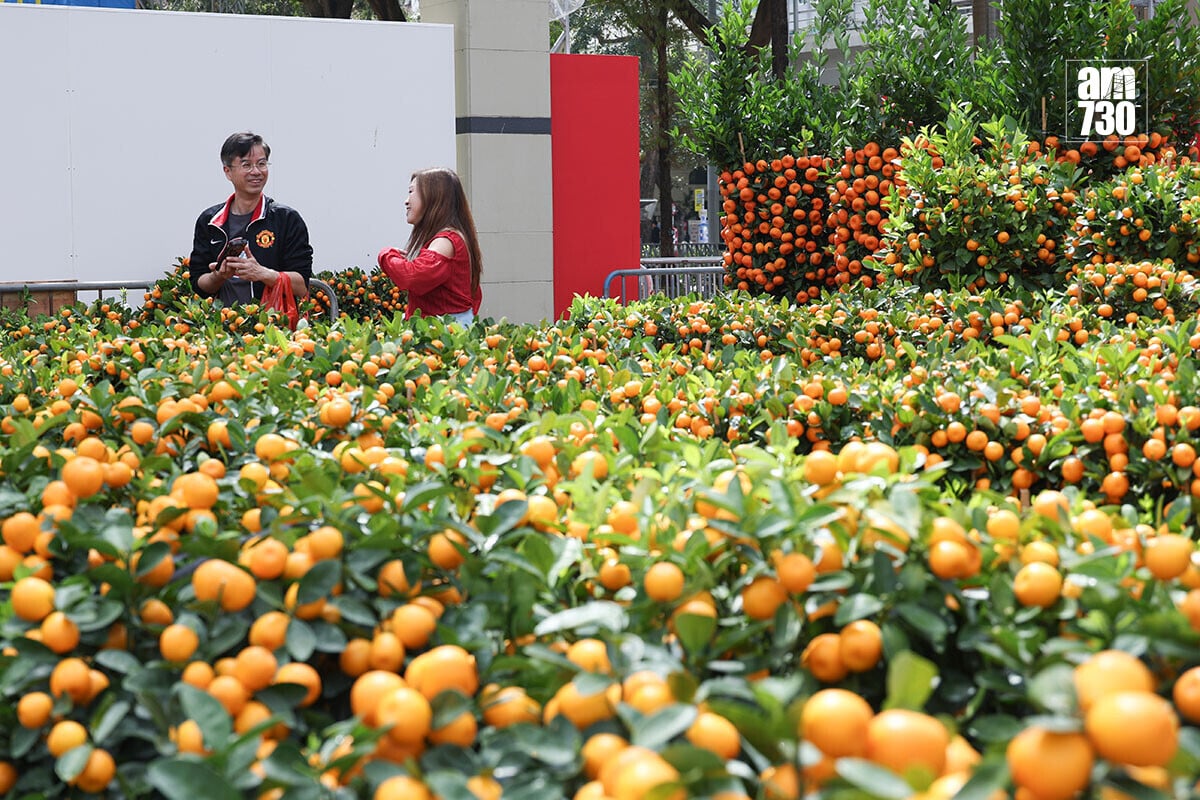 維園年宵由年廿四開放至年初一早上。(周令知攝)